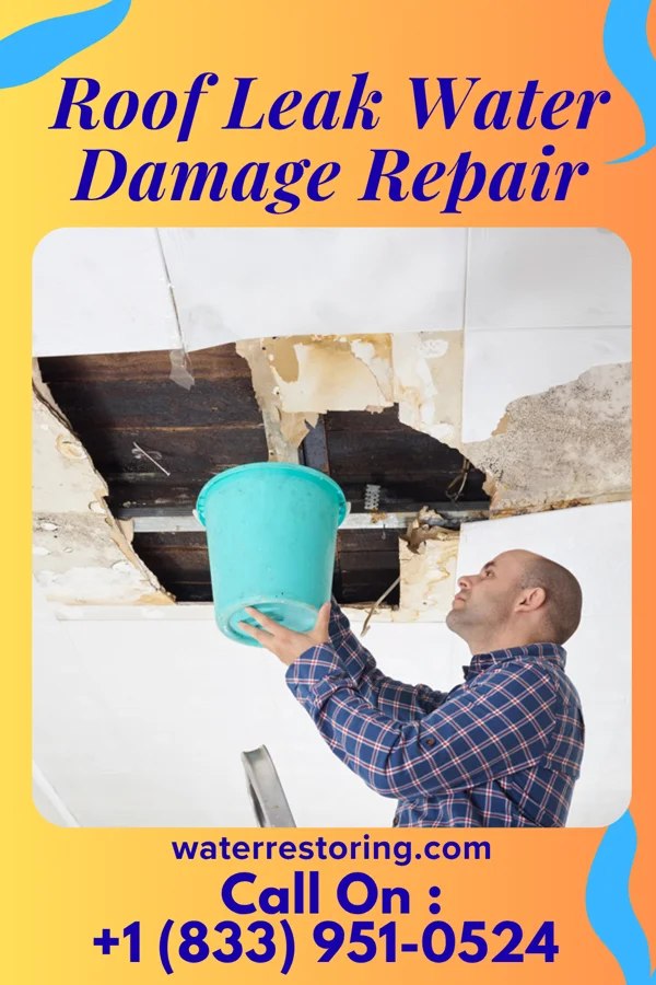 Roof Leak Water Damage Repair in Lodgepole, NE