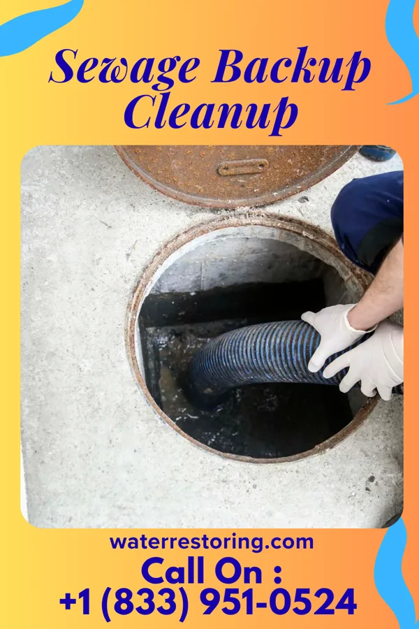 Sewage Backup Cleanup in Lodgepole, NE